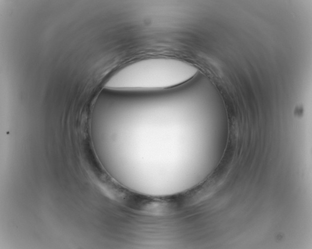 X0000092080364200709121110