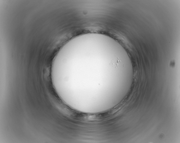 X0000092080365200709121110