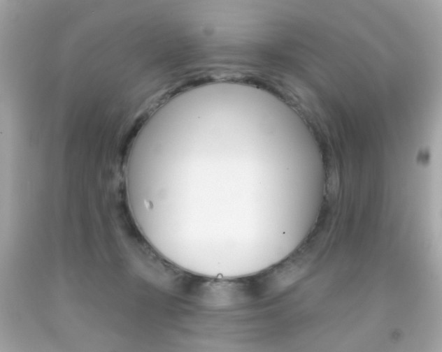 X0000092080367200709121110