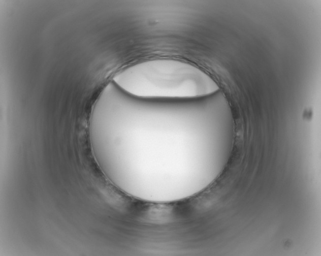 X0000092080369200709121110