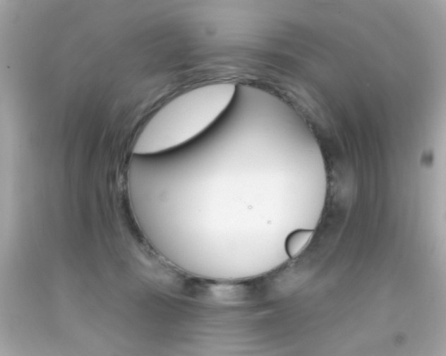 X0000092080371200709121110