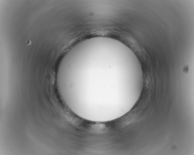 X0000092080374200709121110
