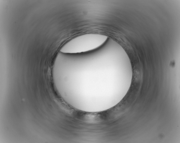 X0000092080375200709121110