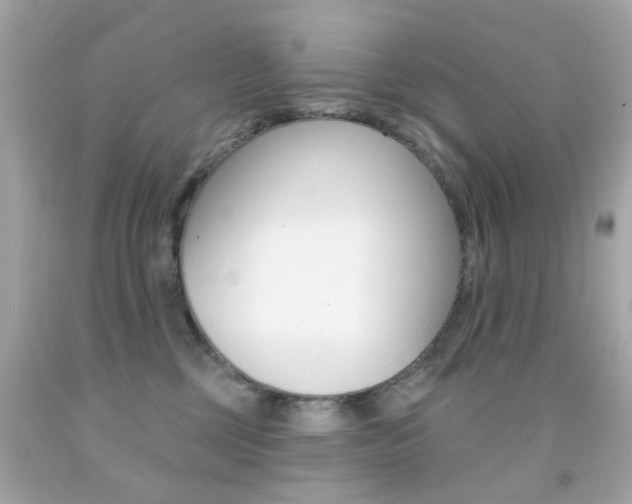 X0000092080377200709121110
