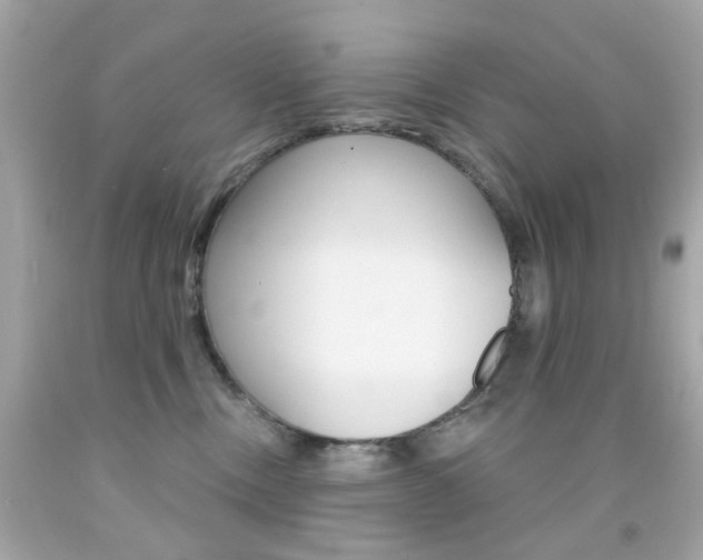 X0000092080378200709121110