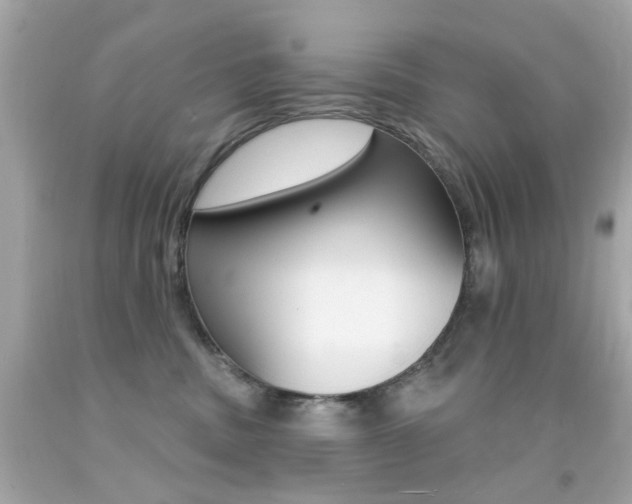 X0000092080379200709121110