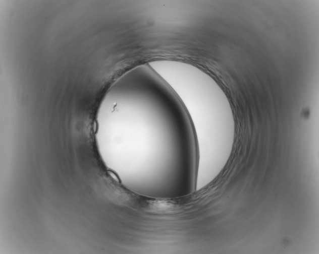 X0000092080380200709121110