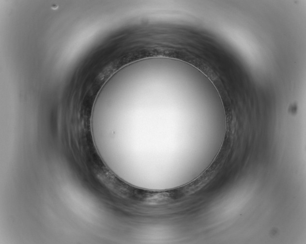 X0000092080382200709121110