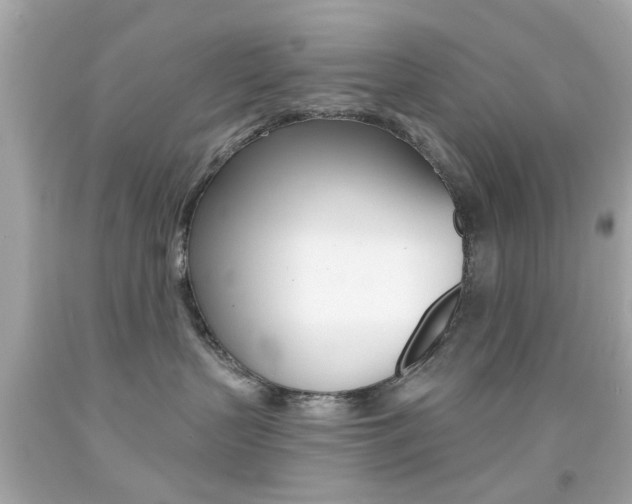 X0000092080383200709121110