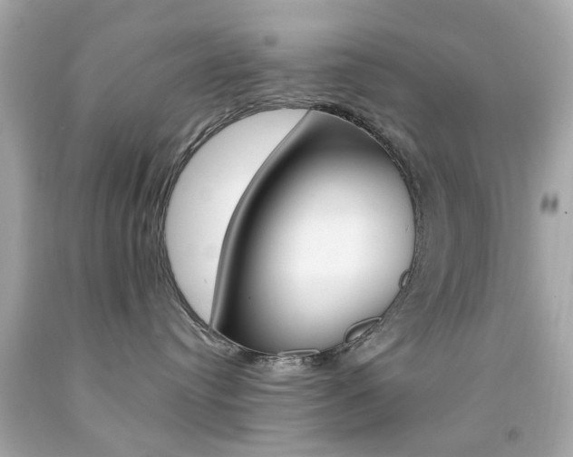 X0000092080384200709121110