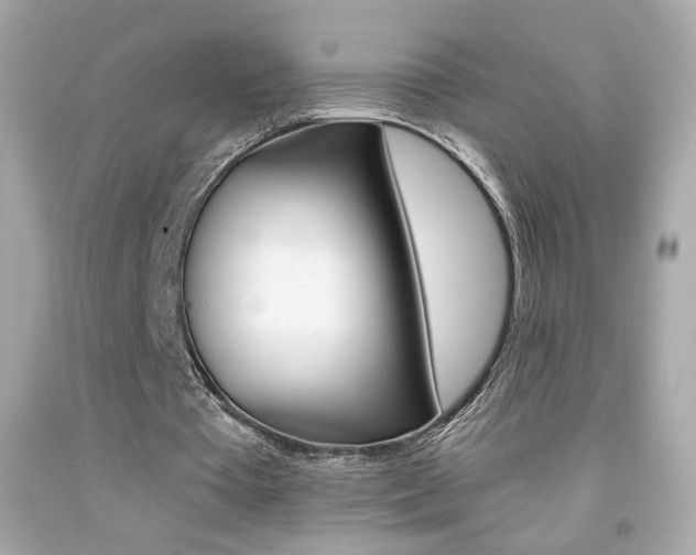 X0000092080385200709121110