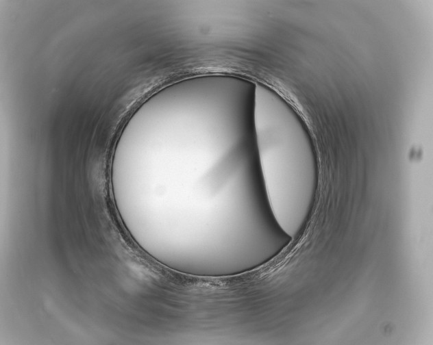 X0000092080386200709121110
