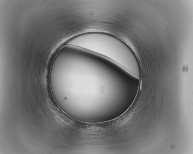 X0000092080387200709121110