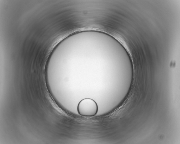 X0000092080389200709121110