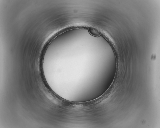 X0000092080391200709121110