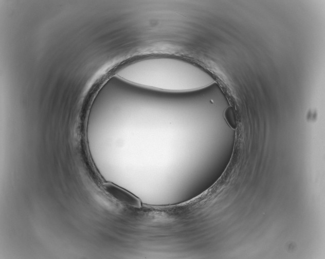 X0000092080392200709121110