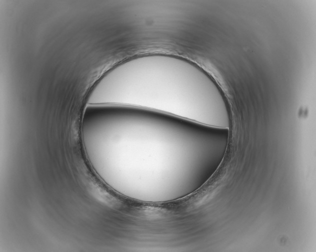 X0000092080393200709121110