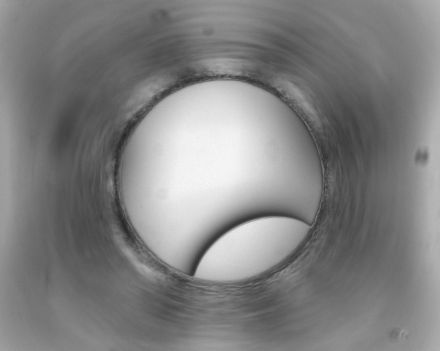 X0000092080398200709121110