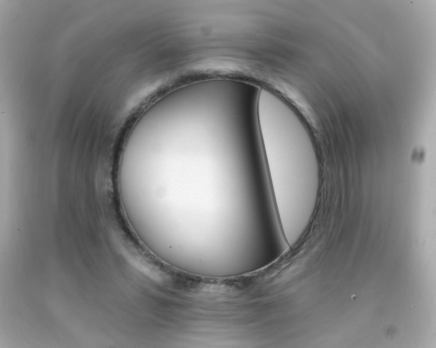 X0000092080399200709121110
