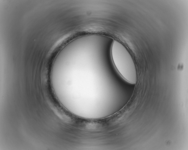 X0000092080400200709121110