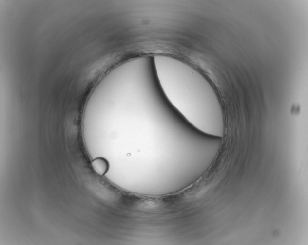 X0000092080402200709121110