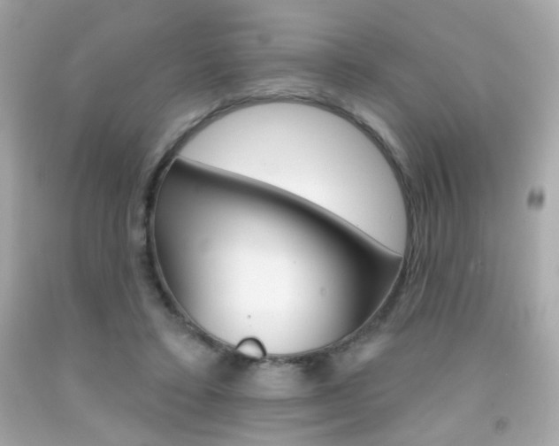 X0000092080403200709121110