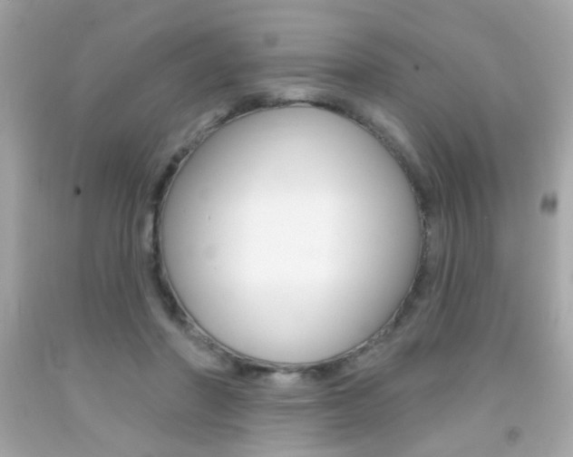 X0000092080406200709121110