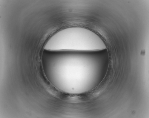 X0000092080407200709121110