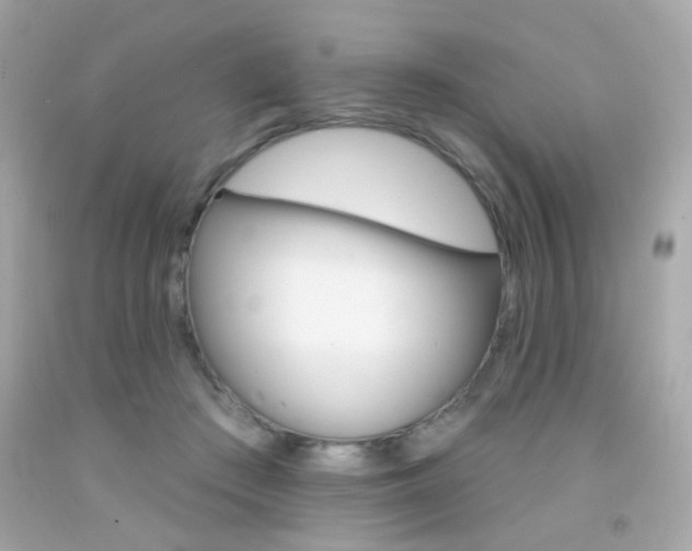 X0000092080409200709121110
