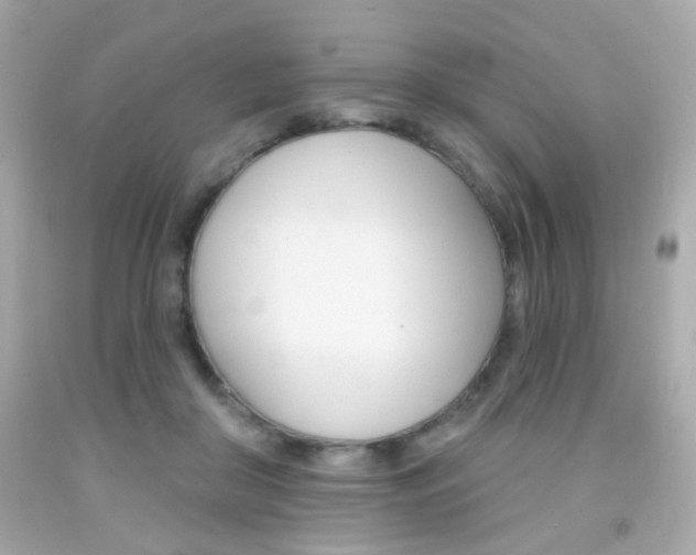 X0000092080410200709121110