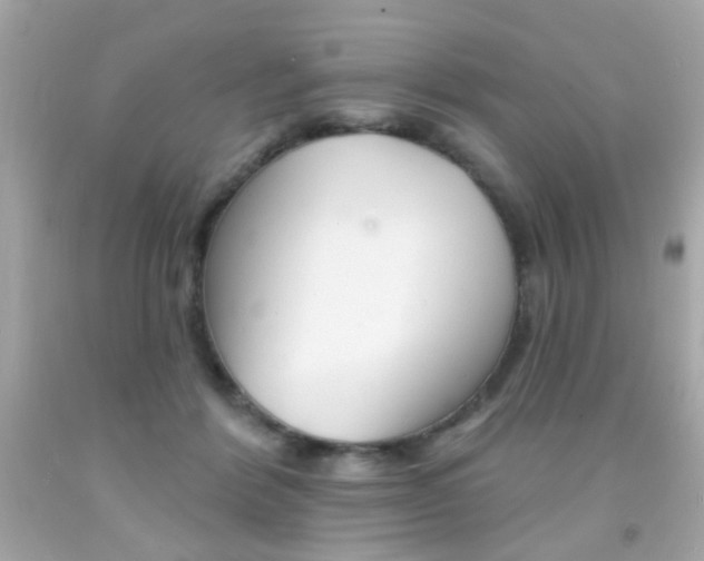 X0000092080412200709121109