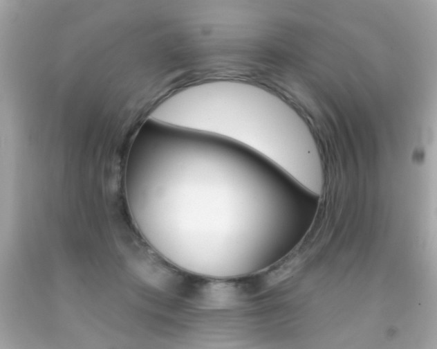 X0000092080413200709121109