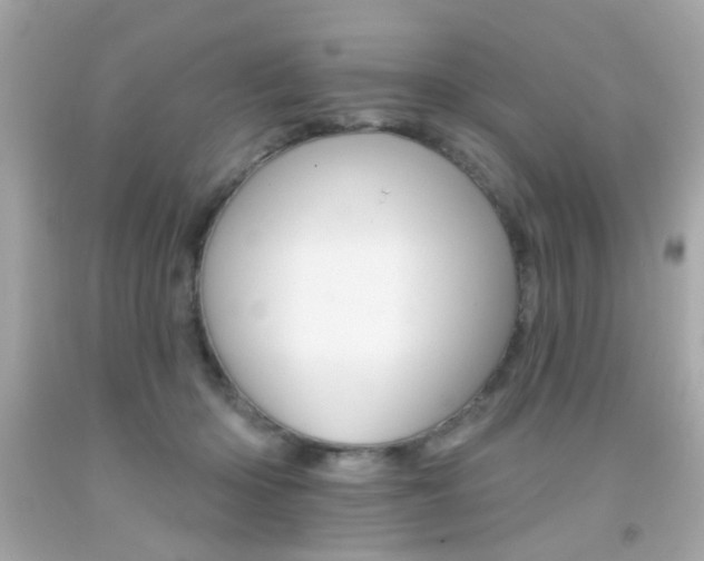 X0000092080414200709121109