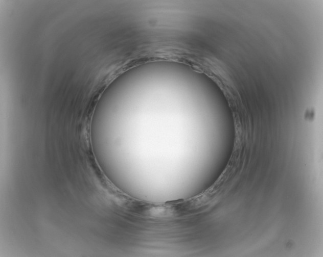 X0000092080415200709121109