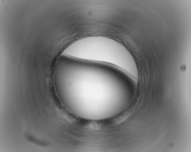 X0000092080416200709121109