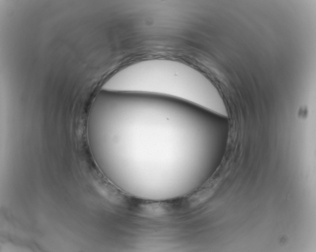 X0000092080417200709121109