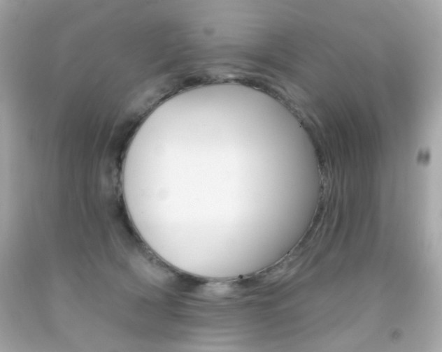 X0000092080418200709121109