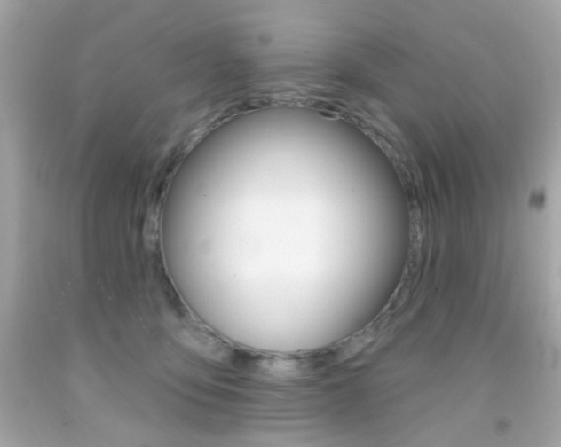 X0000092080419200709121109