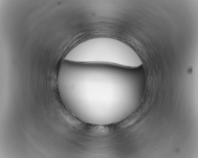 X0000092080421200709121109