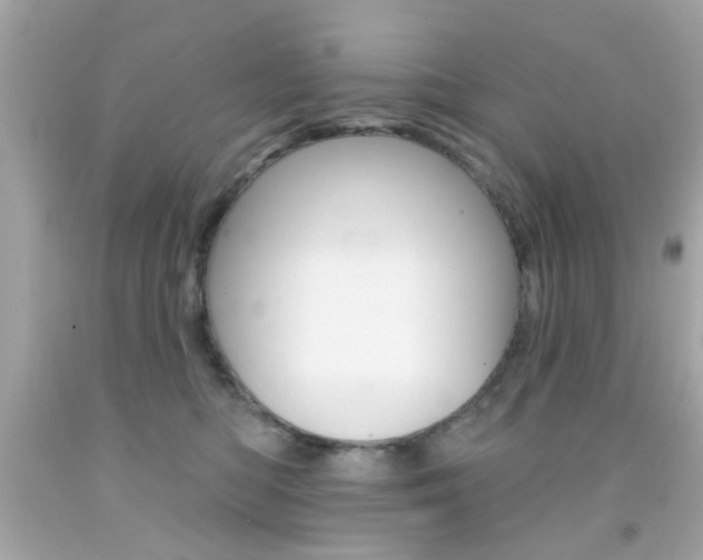 X0000092080422200709121109