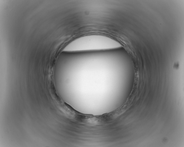 X0000092080423200709121109