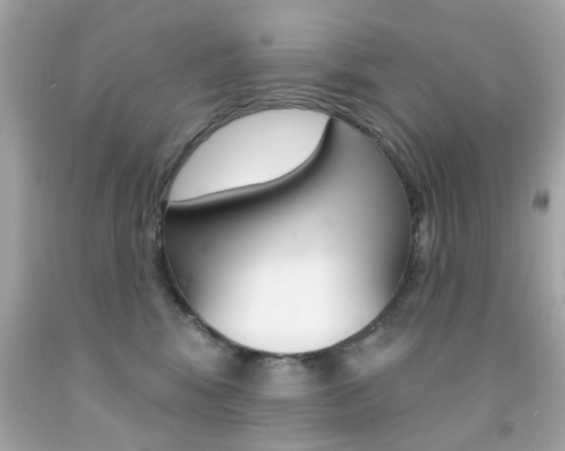 X0000092080424200709121109