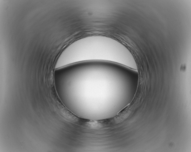 X0000092080425200709121109