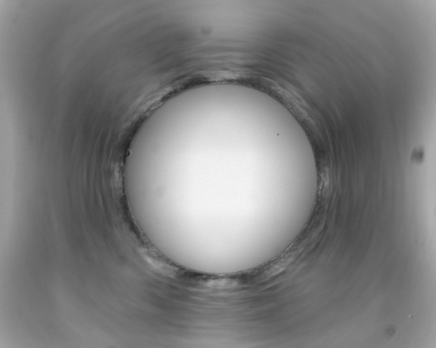 X0000092080426200709121109