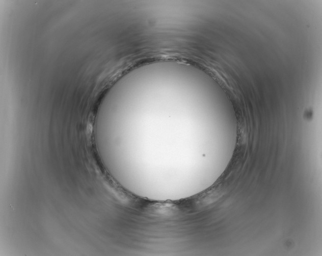 X0000092080427200709121109