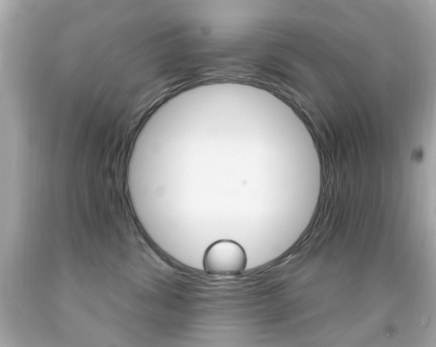 X0000092080428200709121109