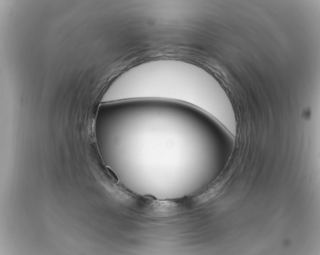 X0000092080429200709121109
