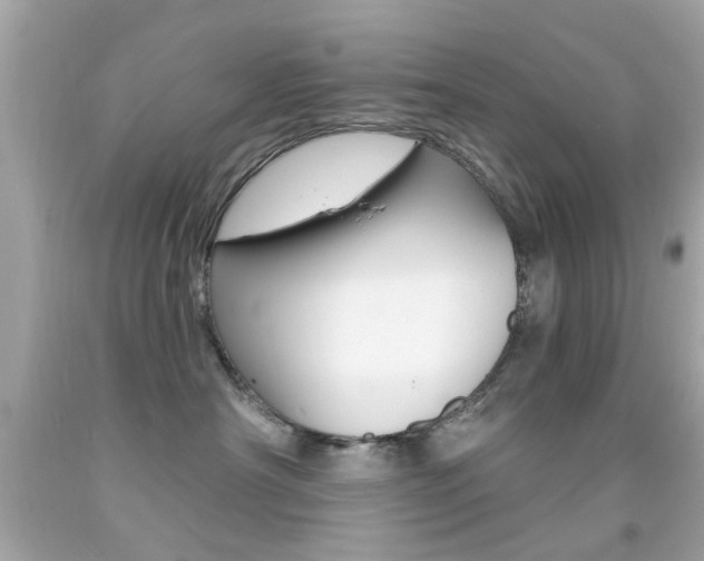 X0000092080430200709121109