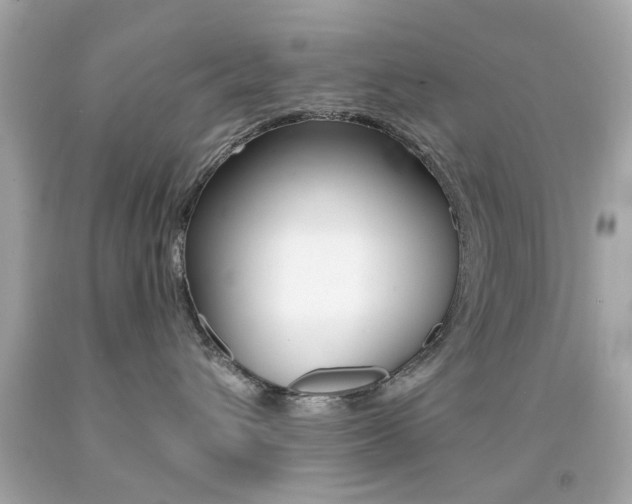 X0000092080432200709121109