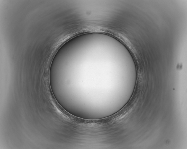 X0000092080433200709121109